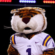 Image for article titled Patriots Draft Pat Patriot’s Successor With Third-Round Pick Of Sophomore LSU Mascot